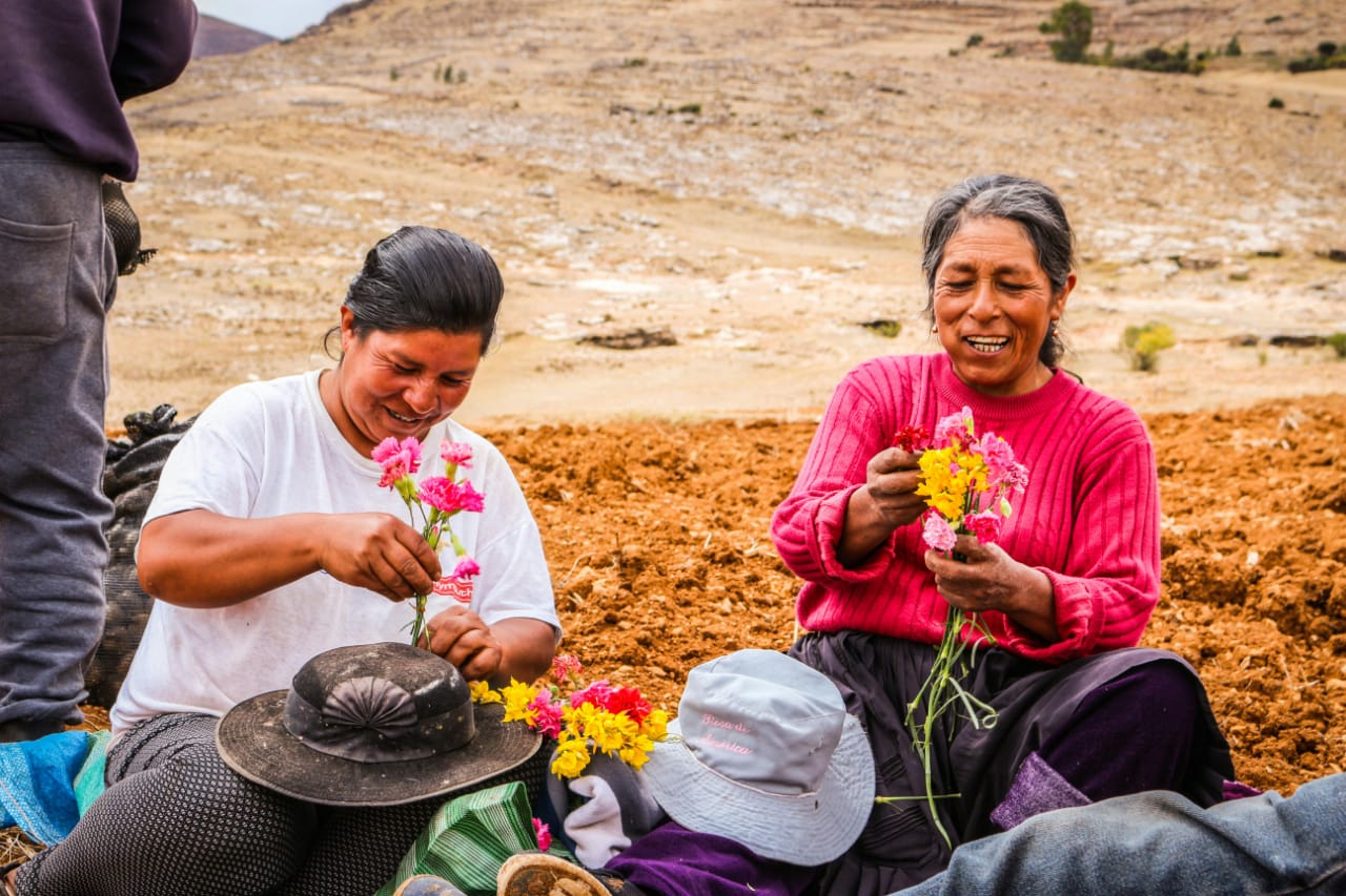 La visión espiritual de la muerte: El ciclo eterno de la vida aymara FLORES DE OFRENDA - QHANANCHAWI